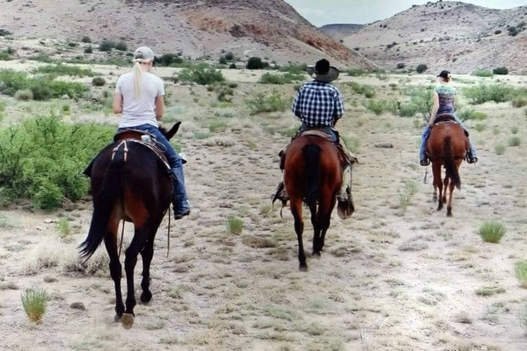 Corralitos Ranch Horseback Rides | Hacienda RV Resort