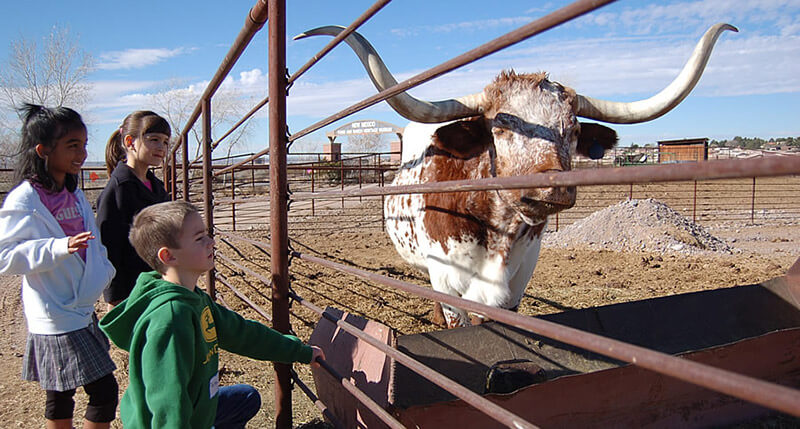 New Mexican Farm and Ranch Heritage Museum | Hacienda RV Resort