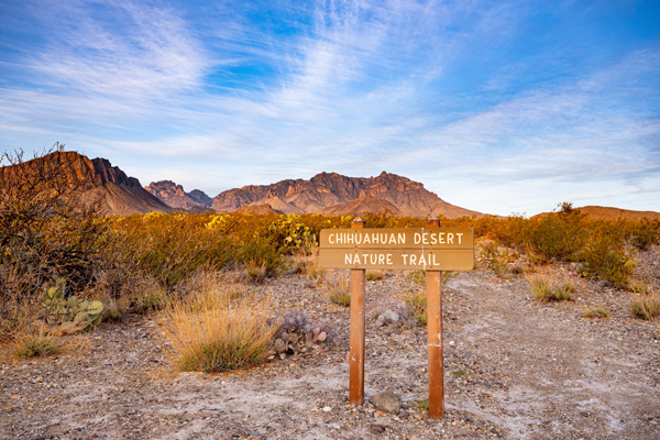 Chihuahuan Desert Nature Park | Jornada Basin | Las Cruces