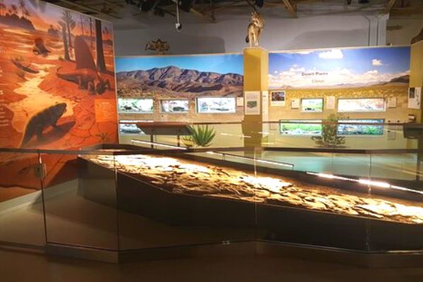 museums in Las Cruces
